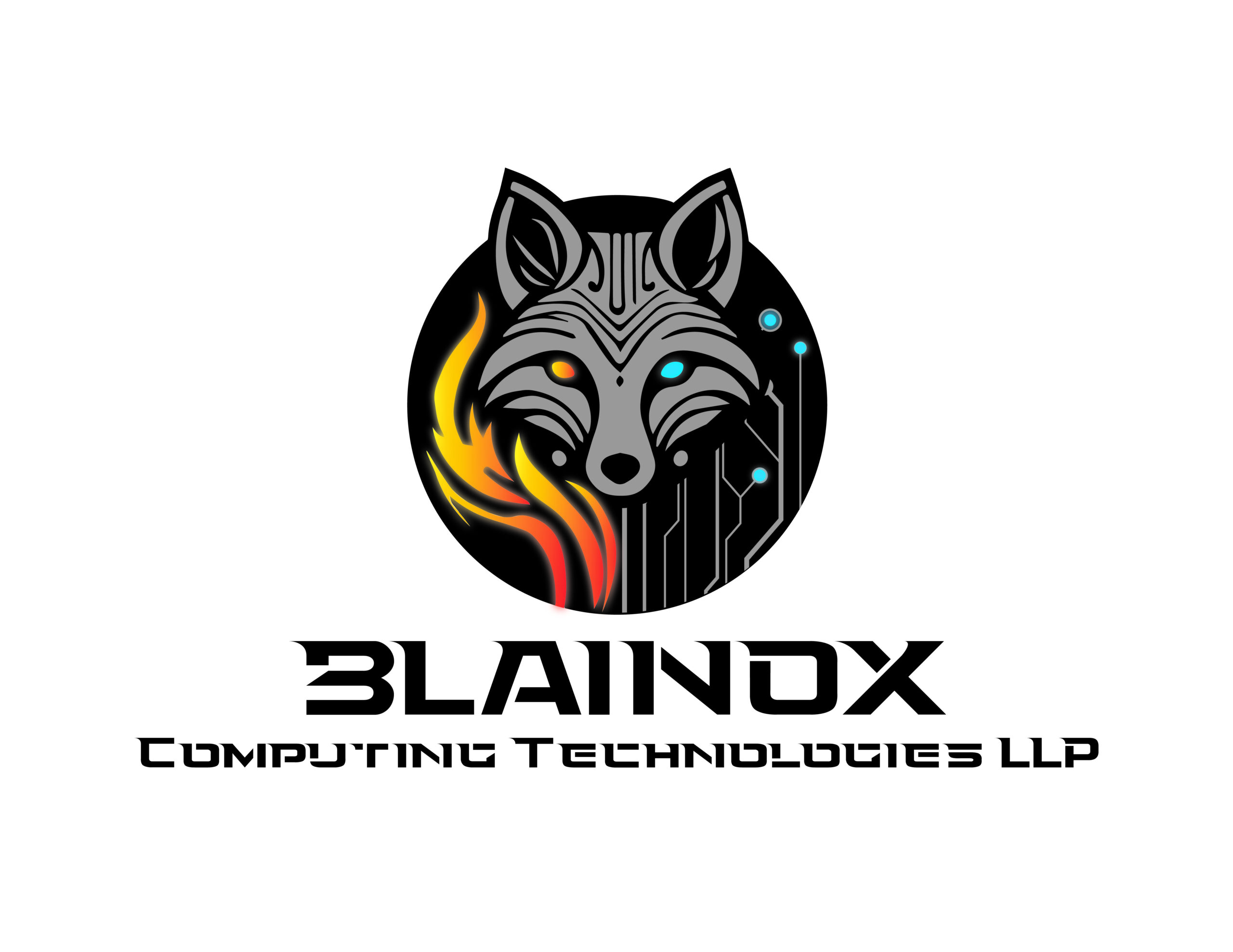 BLAINOX final logo-01